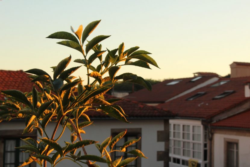 vistas apartamento